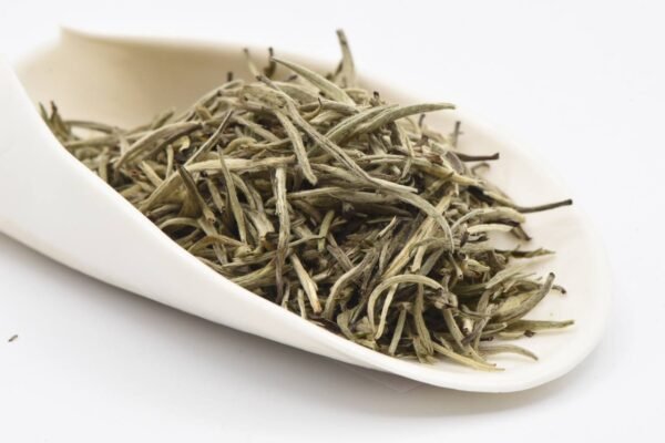 photo_2_2025-06-29_23-11-41 Yin Zhen