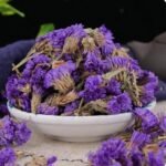 Thé de fleurs de myosotis,un anti-inflammatoir