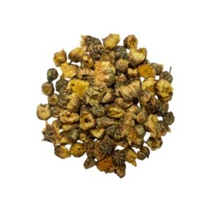 BOURGEONS DE CHRYSANTHÈME