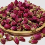 Boutons de Rose
