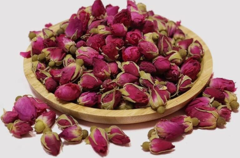 Boutons de Rose touchedethe lomé togo
