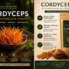 Cordyceps TOUCHE DE THÉ TOGO