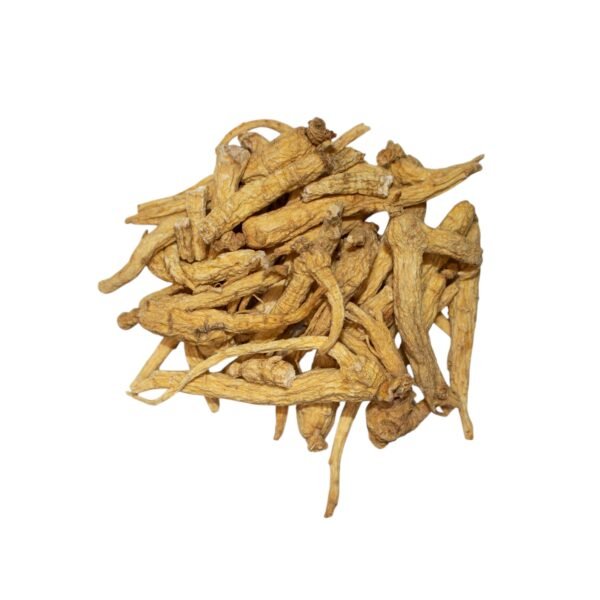GINSENG