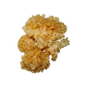 Tremella touche de thé