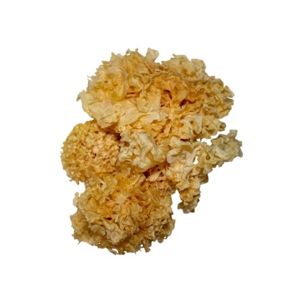 Tremella touche de thé