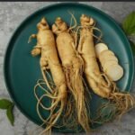 Panax ginseng